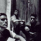 No Mercy - List pictures