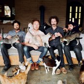 Rogue Wave - List pictures