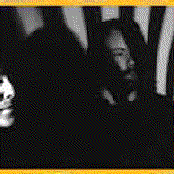 Deep Forest - List pictures