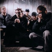 Flaw - List pictures