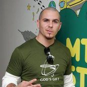 Pitbull - List pictures
