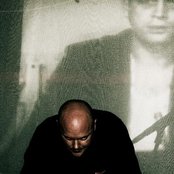 Mosca - List pictures