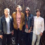 Painted Palms - List pictures