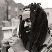 Tena Stelin - List pictures