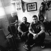 Toothgrinder - List pictures