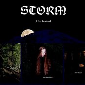 Storm - List pictures