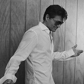 Morten Harket - List pictures