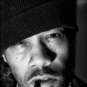 Redman - List pictures