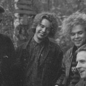 Aknestik - List pictures