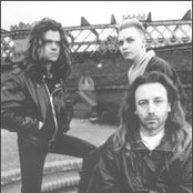 Revenge - List pictures