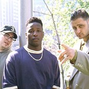 3rd Bass - List pictures