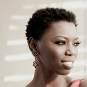 Lira - List pictures