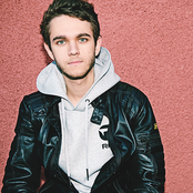 Zedd - List pictures