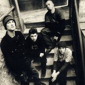 Dry Cell - List pictures