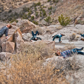 Milagres - List pictures