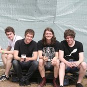 Sabella - List pictures