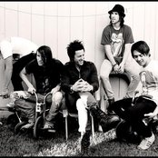 Test Your Reflex - List pictures