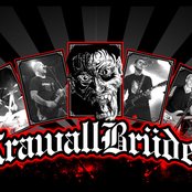 Krawallbrüder - List pictures