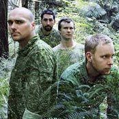 Sunny Day Real Estate - List pictures