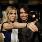 The Common Linnets - List pictures