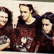 Fallacy - List pictures