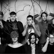 Woodpigeon - List pictures