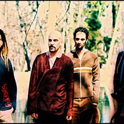 Dead Soul Tribe - List pictures