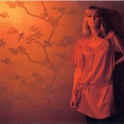 New Buffalo - List pictures