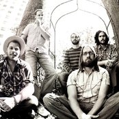 Dear And The Headlights - List pictures