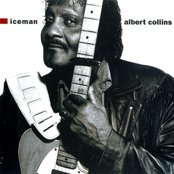 Albert Collins - List pictures