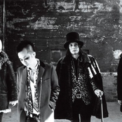 The Birthday - List pictures