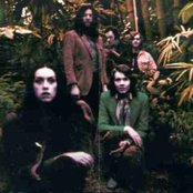 Amon Duul Ii - List pictures