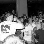 Judge - List pictures