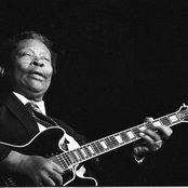 B.b. King - List pictures