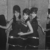 The Ronettes - List pictures