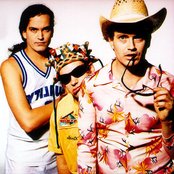 Meat Puppets - List pictures