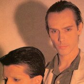 Dalis Car - List pictures