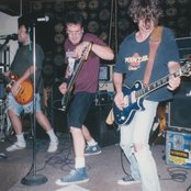 Parasites - List pictures