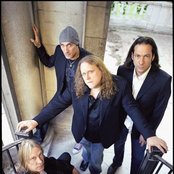 Gov't Mule - List pictures