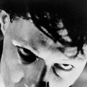 Foetus - List pictures