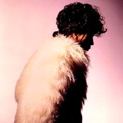 Prince - List pictures