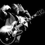 B.b. King - List pictures