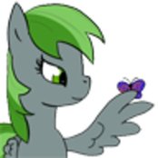 Forest Rain - List pictures