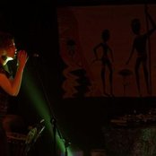 Zebra - List pictures