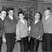 Gary Lewis And The Playboys - List pictures