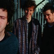 Sicko - List pictures