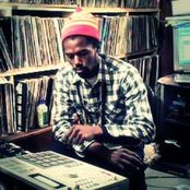 Damu The Fudgemunk - List pictures