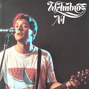 Wolfgang Ambros - List pictures