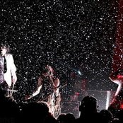 Crossbreed - List pictures