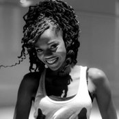 Dynasty - List pictures